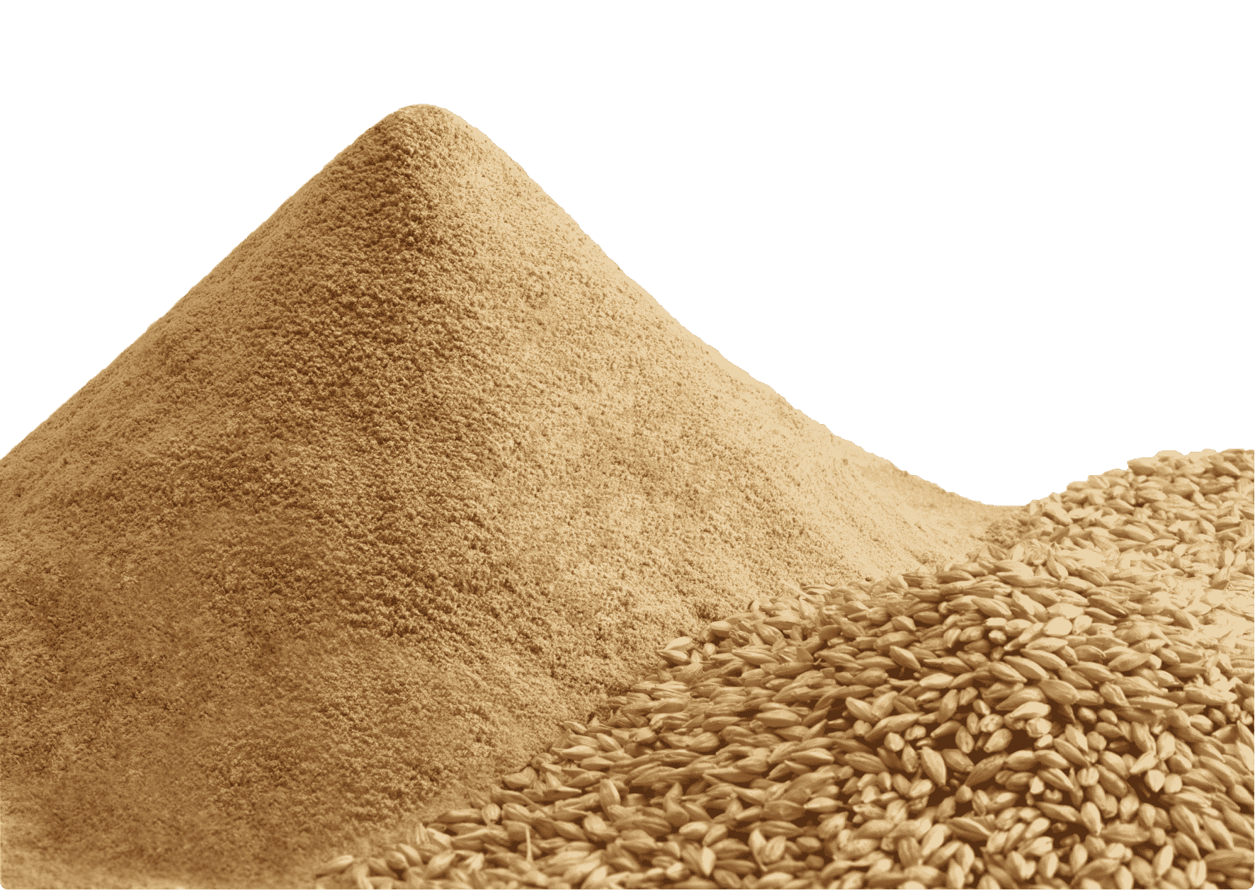 国産大麦粉